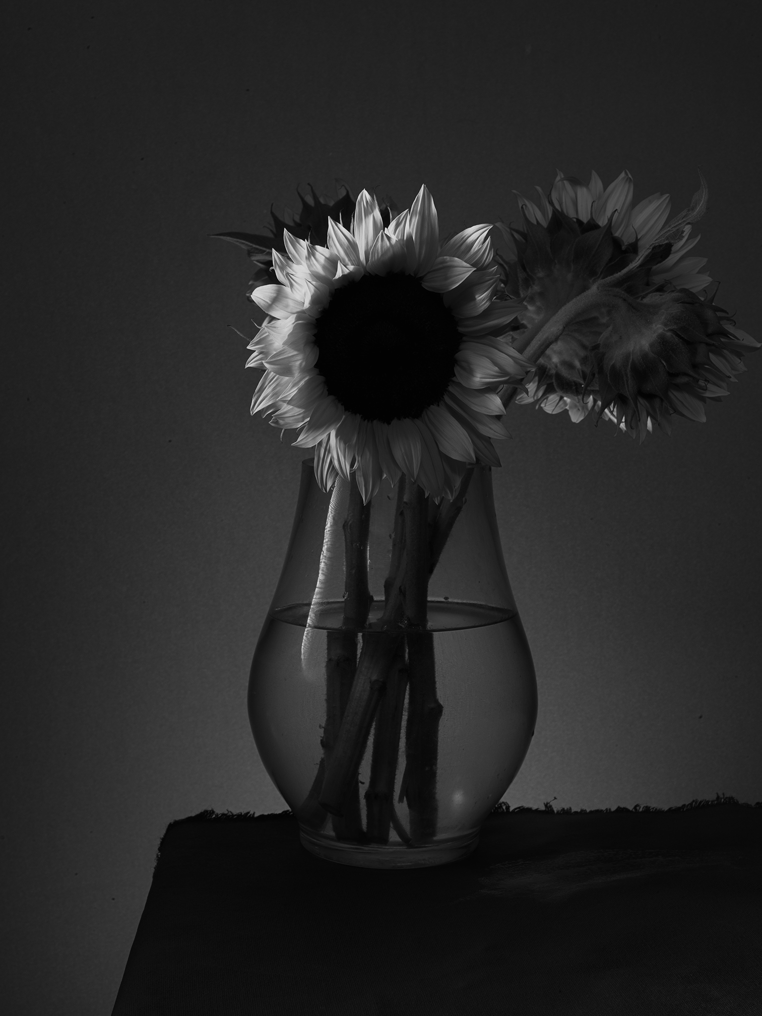 Monochrome still fine art cinematic by Thabit