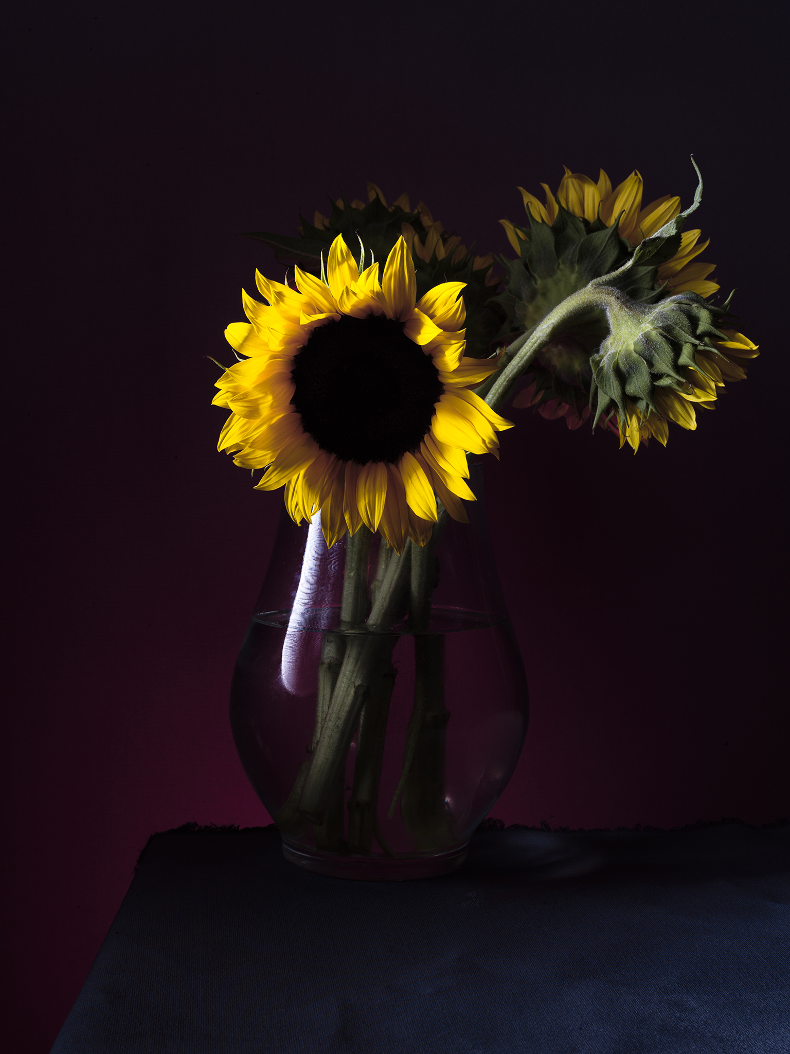 jewel tone colours by Thabit fine art still life botanical