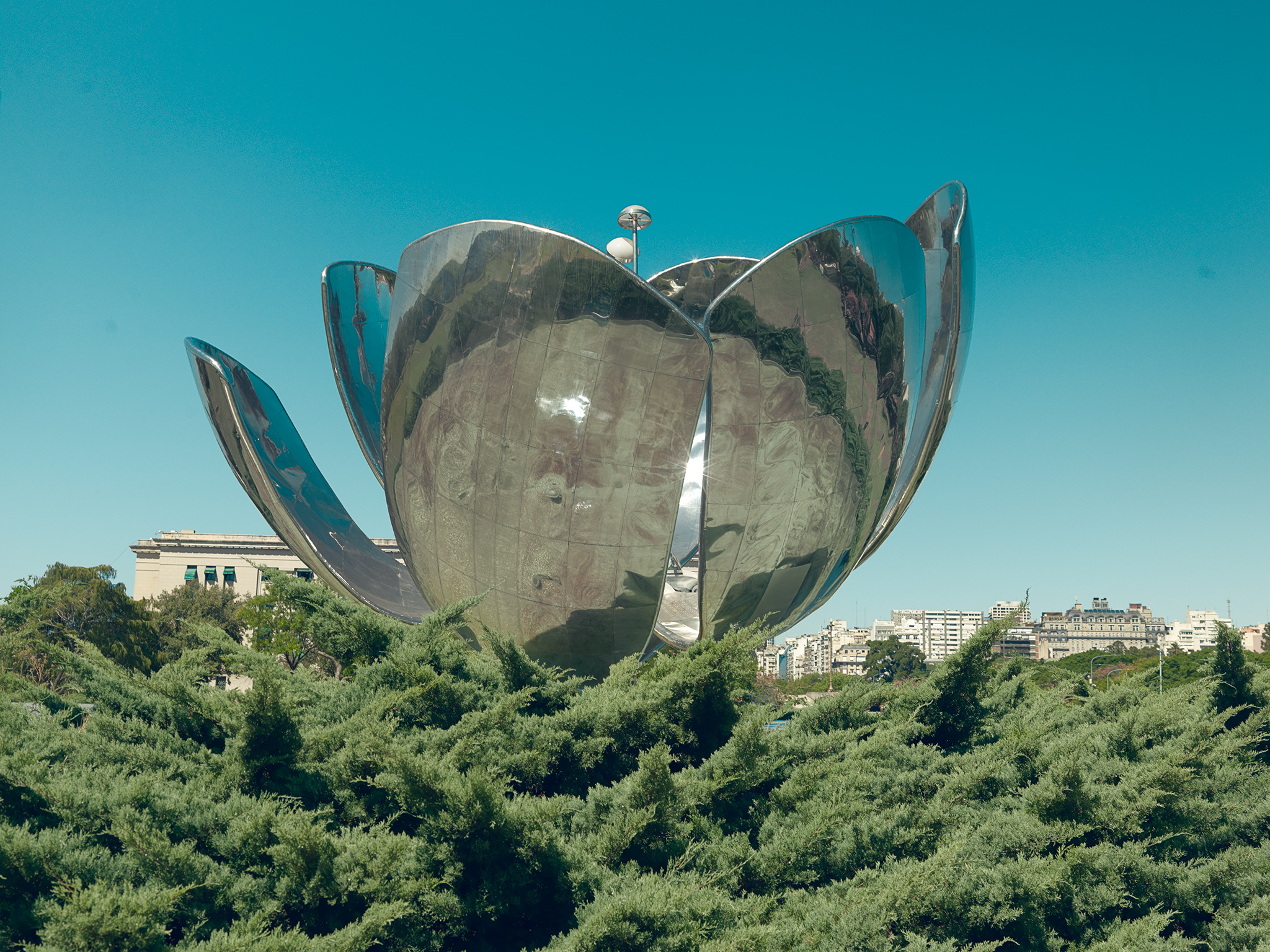 Landscape Argentina floralis soft ethereal afternoon sun cinematic by Thabit