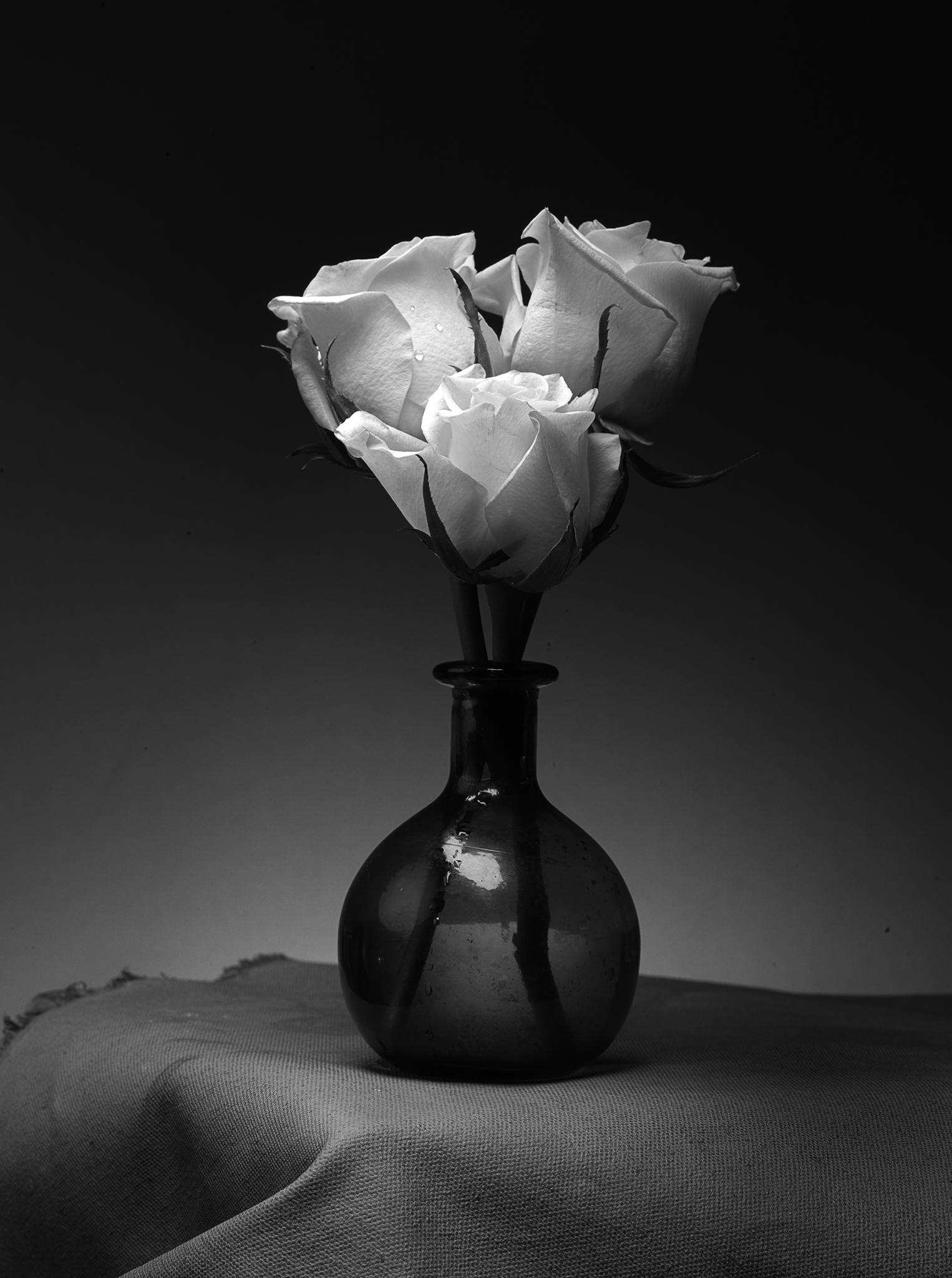 Roses in glass vase round monochrome fine art still life by Thabit