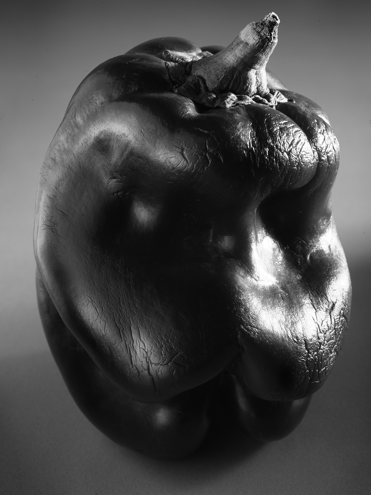Edward Weston pepper monochrome botanical still life by Thabit