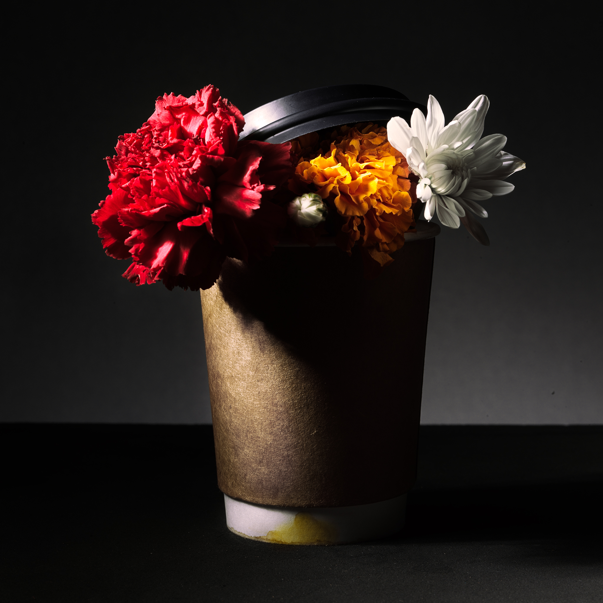 coffee cup brown fine art still life botanical moody conceptual by Thabit