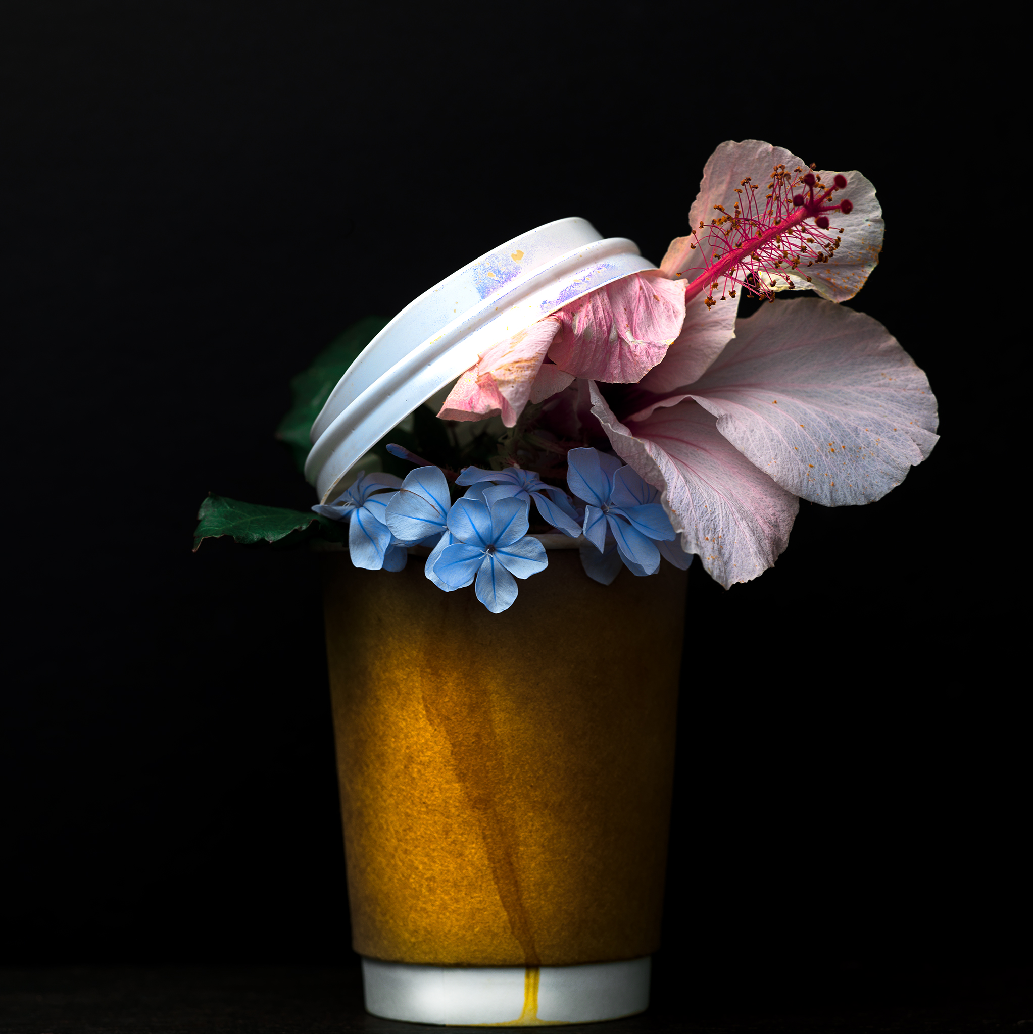 Coffee cup fine art still life with flowers botanical moody conceptual by Thabit