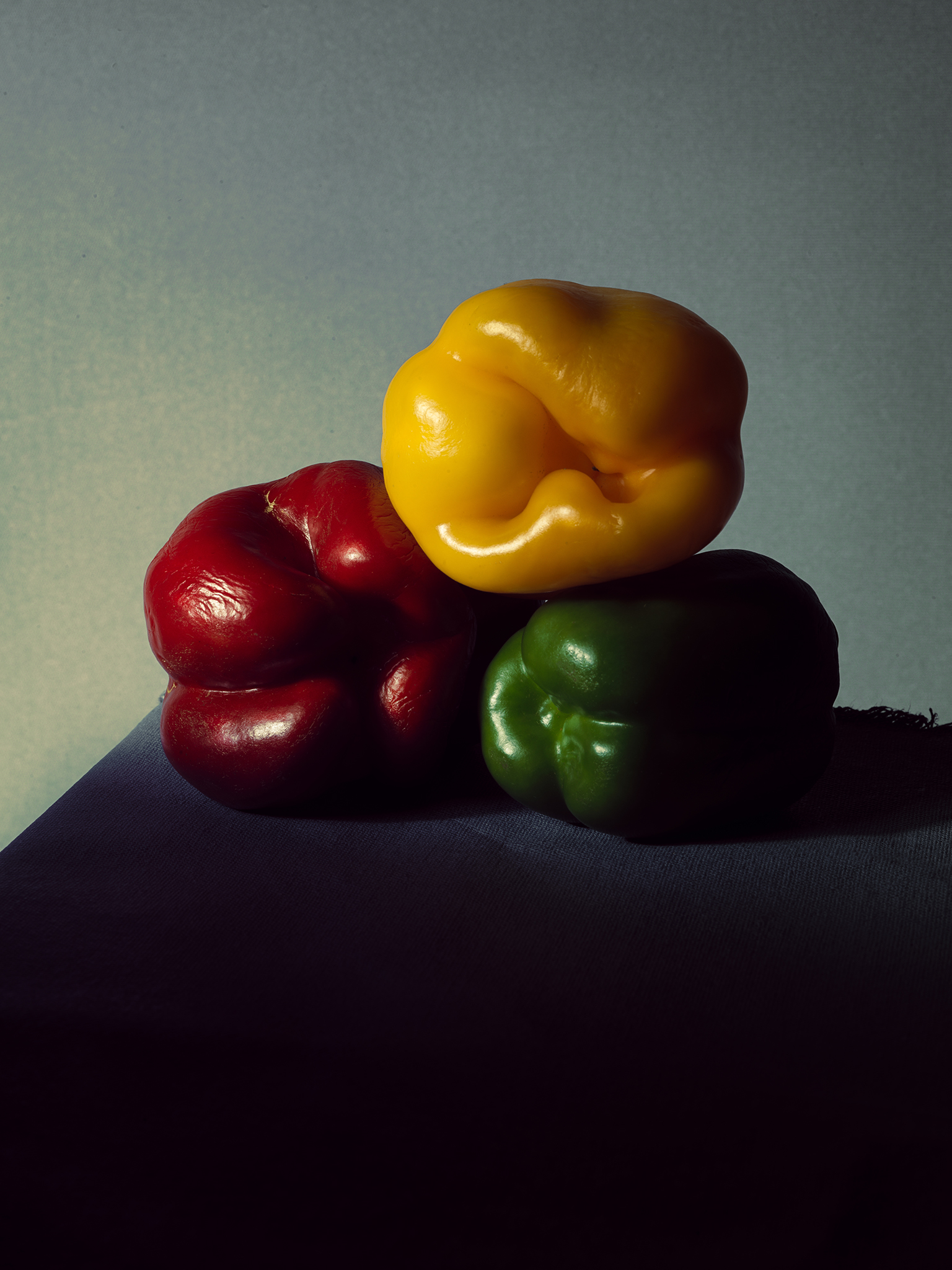 Botanical fine art peppers colour primary by Thabit painterly