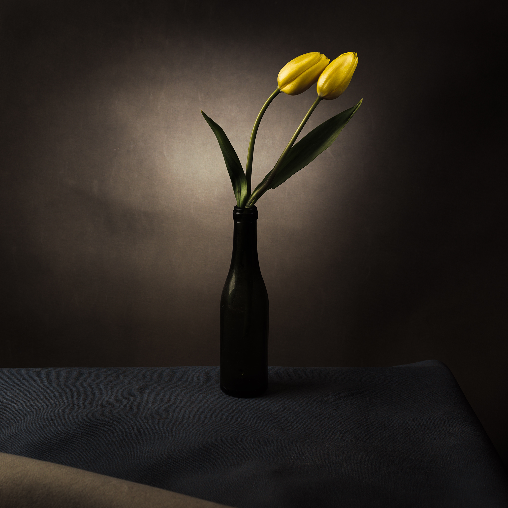 Tulips moody fine art cinematic painterly botanical by Thabit